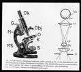 Skioptikonbild från Institutionen för fotografi vid Kungliga Tekniska Högskolan. Använd av professor Helmer Bäckström som föreläsningsmaterial. Bäckström var Sveriges första professor i fotografi vid Kungliga Tekniska Högskolan i Stockholm 1948-1958.
(Till vänster) Sammasatt mikroskop, delvis genomskuret för att visa konstruktionen. MS mikroskopstativet, S spegel, K kondensor, O objektbord. Obj. Objektiv, vilka med en revolveranordning lätt kunnautväxlas. Ok. Okular, G grovinställning, M mikrometer- eller fininställning. (Till höger) Schema över strålgången i mikroskopet.
För mer info se# Bäckström, Helmer. Fotografisk Handbok. Natur och Kultur. Stockholm. 1942. s. 894.
