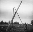 Resning av telefonstolpar i Lappland 1952.