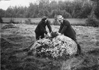 Gyttorps krutbruk. Före sprängningen. Nitrolitladdningen övertäckes med väl tillpackad lera av stenfri jord.