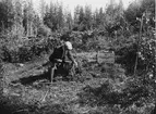 Gyttorps krutbruk. Före sprängningen. Laddningen införes.