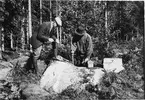 Gyttorps krutbruk. Före sprängningen. Nitroglycerinladdningen införes i borrhålet.