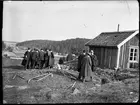 Bild från institutionen för fotografi vid Kungliga Tekniska Högskolan. Herrsällskap med hund.