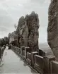 Basteibrücke, utsiktsplattform i Saxon Schweiz på högra stranden av Elbe.