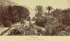 Jardins du Casino, Monte-Carlo, Monaco, 1880-tal.