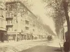 Avenue du Gare, Nice, 1886.