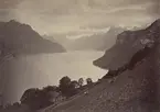Uri Rothstock Schweiz, 1883.