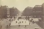 Ur album: Utländska Resan 1890. Gatan L' avenue de L' Opéra, Paris.