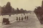 Ur album: Utländska Resan 1890. Gatan L' avenue de Bois de Boulogne, Paris.