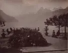 Ur album: Utländska Resan 1890. Vy över Brunnen, Schweiz.