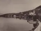 Ur album: Utländska Resan 1890. Vy över Weggis, Schweiz.