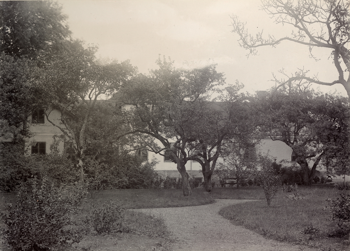 Bild ur fotoalbum tillhörande Ansgar Betulander. Kristineberg i Oxie.