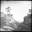 Skioptikonbild från institutionen för fotografi vid Kungliga Tekniska Högskolan. Motiv föreställande utsikt mot havet, sannolikt på Gotland. Bilden är troligen tagen av John Hertzberg under en resa i Sverige.