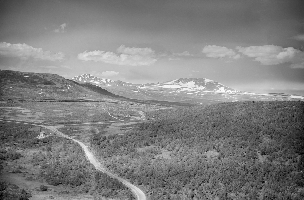 Hjerkinn, Dovre, 08.07.1952, hytter, veier, blandingsskog, snødekte fjell i bakgrunnen