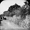 Skioptikonbild med motiv av stenmur längs landsväg, Granada.
Bilden har förvarats i kartong märkt: Höstresan 1910. Granada 9. N:15.