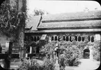 Skioptikonbild med motiv från Mariekirche med den 100-åriga rosenbusken, Hildesheim.
Bilden har förvarats i kartong märkt: Vårresan 1909. Hildesheim 9. V. Text på bild: 