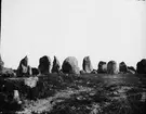 Skioptikonbild med motiv av Menhirer i Carnac.
Bilden har förvarats i kartong märkt: Resan 1908. XIX.