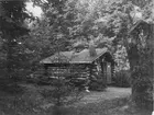 Skogskoja vid Karlstadsutställningen 1903. Bild från tidskriften Hemmets bildmaterial.