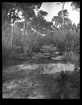 Skioptikonbild från institutionen för fotografi vid Kungliga Tekniska Högskolan. Motiv från en väg vid Vesuvius nära Neapel i Italien.. Bilden är troligen tagen av John Hertzberg under en resa i Europa.