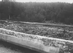 Borgärdet kraftstation. Naturliga åbottnen, vänstra muren vid avloppet samt flottningsrännans nedre del från bron.