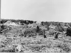 Panoramabild visande Adolf Fredriksgruvan, laboratoriet, Adolf Fredriks maskinhus och stora maskinhuset.
Personer på bilden: Konsul F.Bieber, gruvfogden Malm (med helskägg), konsullinan Rieber och hennes bror, kemisten Bartouschek.