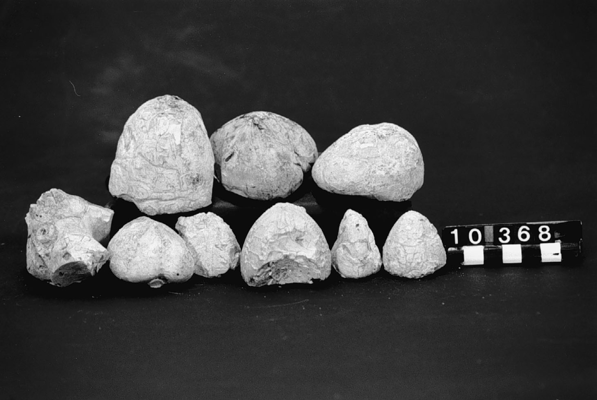 Prov på flinta med petrifikat, bränd. "O-b-gg-47. Flinta med petrificater, bränd fr. Rörstrand# af Eneberg, 1848". Diameter: 55-30 mm, höjd: 60-30 mm, vikt:0,225-0,036 kg.