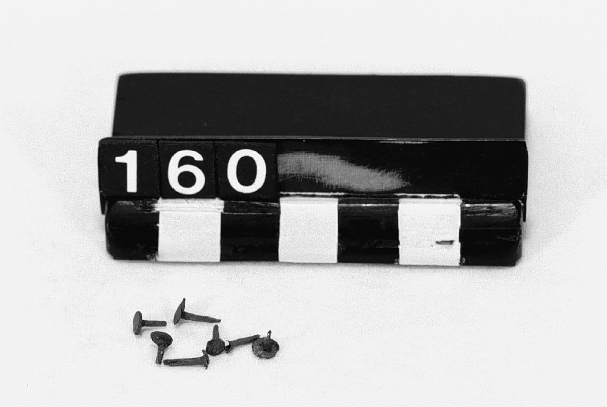 Ur en pärm tillhörande boken "De proprietatibus rerum" av Bartholemeus anglicus, tryckt i Strassburg 1505 och bunden i samtida band. Längd: ca. 5 mm.
