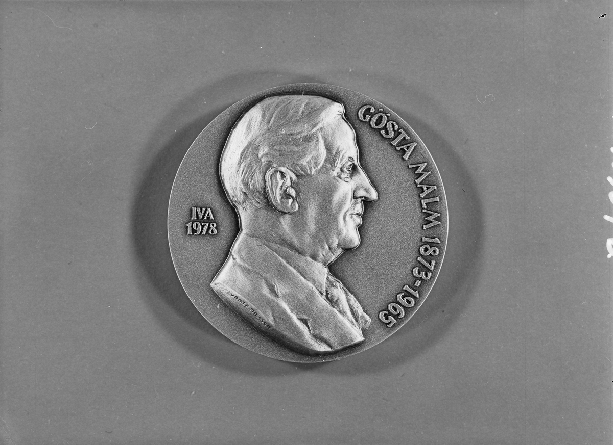 IVA's minnesmedalj 1978 i brons. Åtsidan: bröstbild i relief med texten "Gösta Malm 1873-1965 IVA 1978". Frånsidan: texten "När livet varit som bäst har det arbete och möda varit." I etui klätt med mörkblått konstläder. Medaljens åtsidan är en replik av den av skulptör Svante Nilsson utförda medaljen vid Malms pensionering från Vattenfallsstyrelsen 1938. Folder med biografi inneliggande.