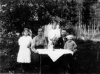 Familjegrupp 5 personer. Stuga i bakgrunden.
Erik Theon Olsson med familj, från vänster dottern Linnéa, frun Emma Lydia, dottern Thea Elfrida, Erik Theon Olsson och sonen Sven Erik i knä.
Bilden tagen 1917 eller 1918.