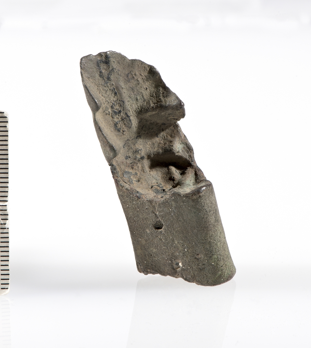 Grytefotfragment
