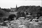 Varnhem. Kyrkan.