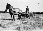 Alfred Andersson vänder hö. 1915-20 talet.