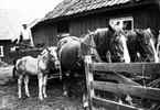 Torvkörning.