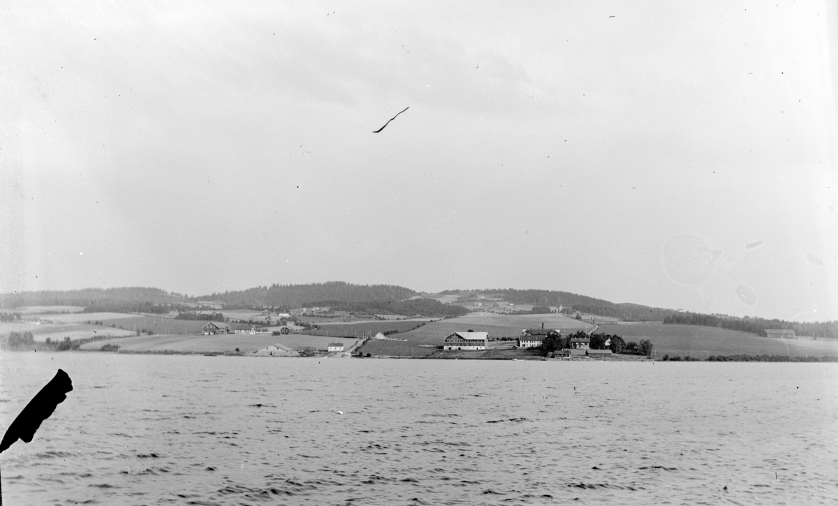 HHB-15704