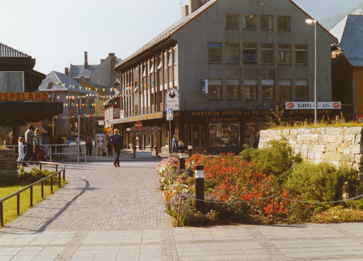 Almerkeparken i Odda sentrum