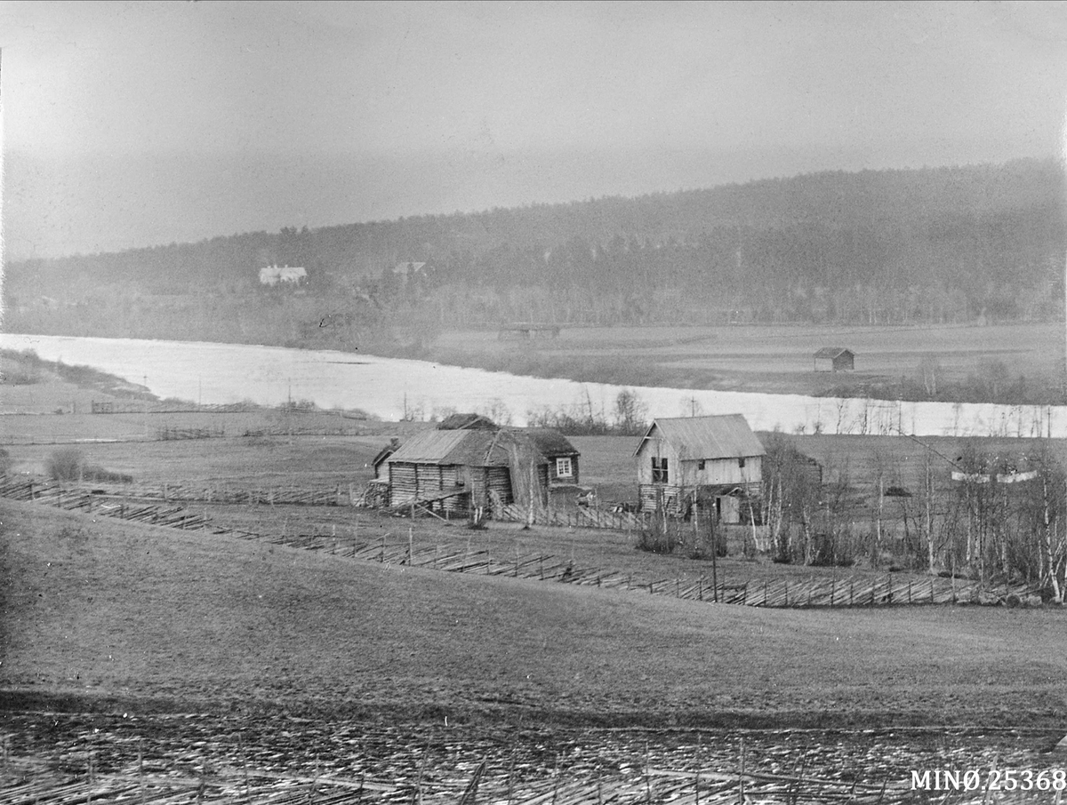 Gardsbruk. Haugrosen øvre, omkring 1923. 