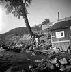 Wilhelm Claessons notadrätt vid Vätterstranden i Huskvarna. I Vättern fiskade man med att 