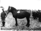 Lantbruksmötet 1910. Bjertorps egendom. St Hof.