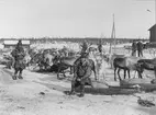 Samelag redo för uppbrott från Gällivare våren 1899.