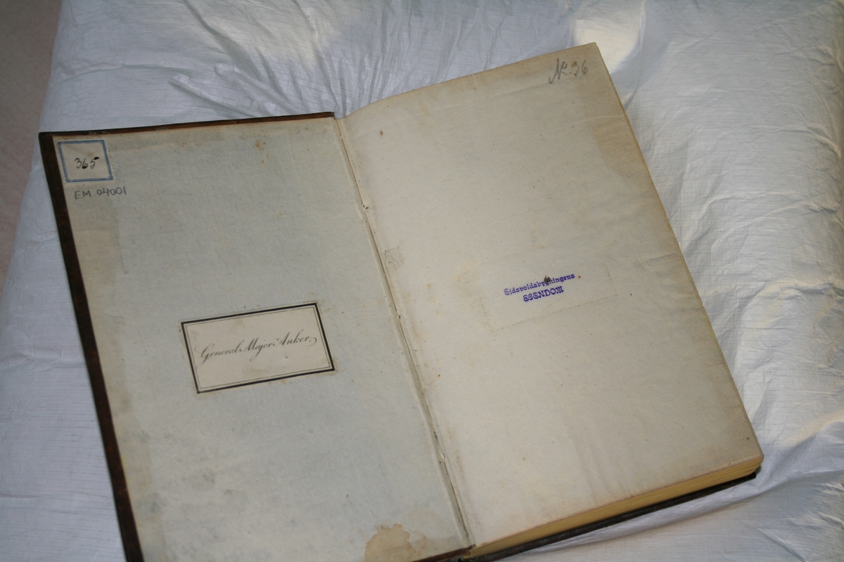 Rygg: Forgylte ranker og rosetter.