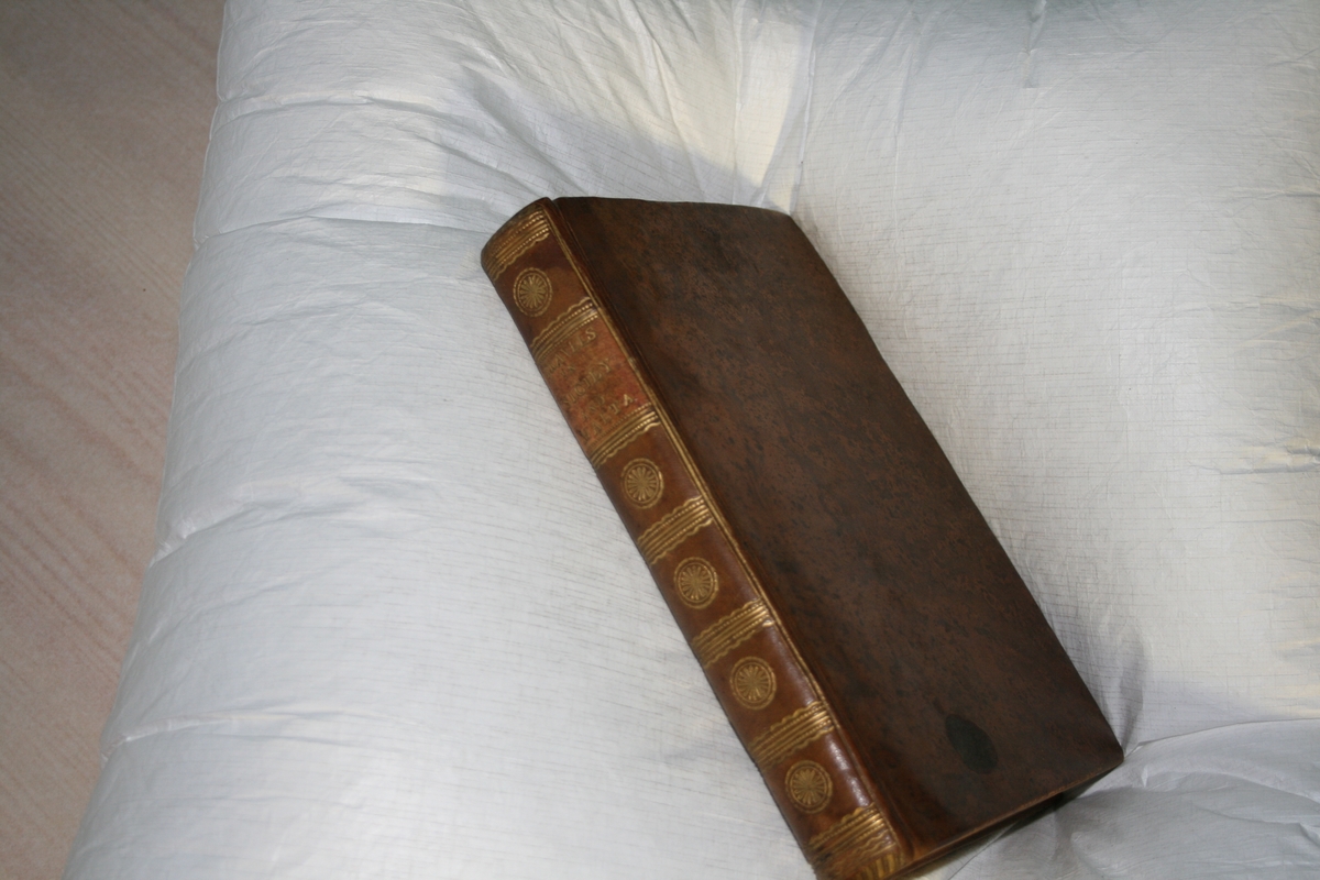 Rosetter (Gulldekor, rygg)