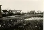 Tre obebyggda tomter vid Jakobsgatan. Annedals trädgård åt norr.