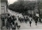 Gymnastikfesten pingst, 1937. Hela Vg:s gymnaster.