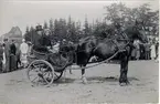 Kulturhistoriska festtåget och festspelen i Falköping den 5 augusti 1934. Bondfolk från Falbygden på resa till stan. Mor bär 