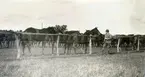 Överstelöjtnant Raab vid Gudhems hästar. (Remontdepån)