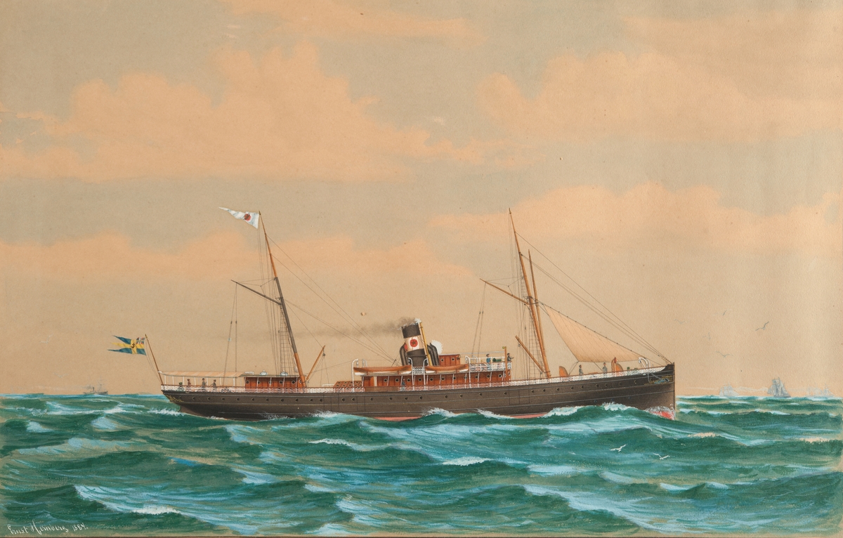 Ångfartyget  Aeolus, brunmålat skrov, två master med gafflar samt för med stagfock. Svart skorsten med vitt band.
Förgylld femuddig stjärna i rött cirkelfält. På stortoppen bolagsflagga, akterut svensk tretungad postflagga.