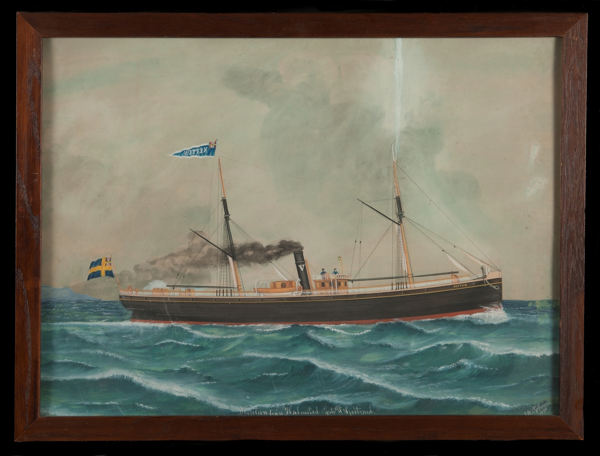 "S/S NEPTUN från Halmstad. Captn. P. Sjöstrand", sett mot styrbordssidan, svart flushdäckat skrov med rak stäv, svart skorsten med vitmålat V. På bryggans framkant fartygets namn, på stortoppen namnvimpel, akterut svensk flagg med yngre unionsmärket.