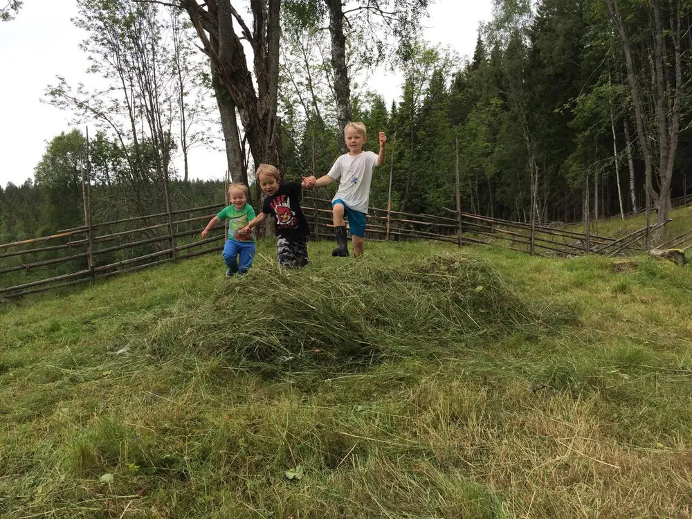 Fotografi tatt på Skålbergsætra. Tre små gutter hopper i en haug med høy. Det er sommer.