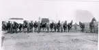 Varmblodiga hingstar och ston med årsföl samt äldre avkomma, vid utställningen i Falköping 1910. Från Dagsnäs stuteri.