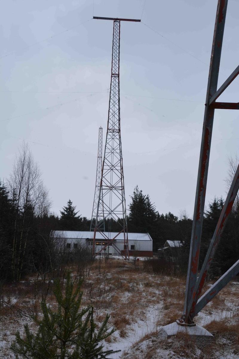 Senderstasjonen i Vigreskogen består av et stasjonsbygg på ca 600 kvm hvor sendersalen er det dominerende element som strekker seg i hele husets lengde. Midt på denne er en halvsirkelformet rotunde for antenneutføringene med en antenneveksler i midten. 
På motsatt side finnes kontrollrom, verksted, krysskopling og transmisjonsutstyrsrom og garderober. En rommelig foaje har inngang til sendersal og garderober på den ene siden og kontorer og hvilerom med tekjøkken og bad for eventuelt opphold mellom vaktene.
I kjelleren under sendersalen er det mekanisk verksted, kraftinntak fra høyspentnettet, ventilasjonsrom, diverse lagerrom og et rom i hele husets lengde som mastemontørene brukte til montering av antennedeler.
Over tunet er et garasje- og lagerbygg på 250 kvm som også huser et kraftig reservestrømsaggregat. 
Ved etableringen ble det bygget et bolighus hvor kombinert vaktmester/mastearbeider skulle bo, men det ble bare brukt noen få år til formålet på grunn av umulige radio og tv-forhold for de som skulle bo der. 
Ved topp aktivitet i første halvdel av 1980-årene var et 30 talls sendere i drift med døgnkontinuerlig vakt,  og 10-12 personer med mønstringssted på stasjonen.
I 2016 er det kun senderne for mellombølgetjenestene ved Rogaland radio og sender for Navtex som er i drift i huset og ingen har sin faste arbeidsplass der.