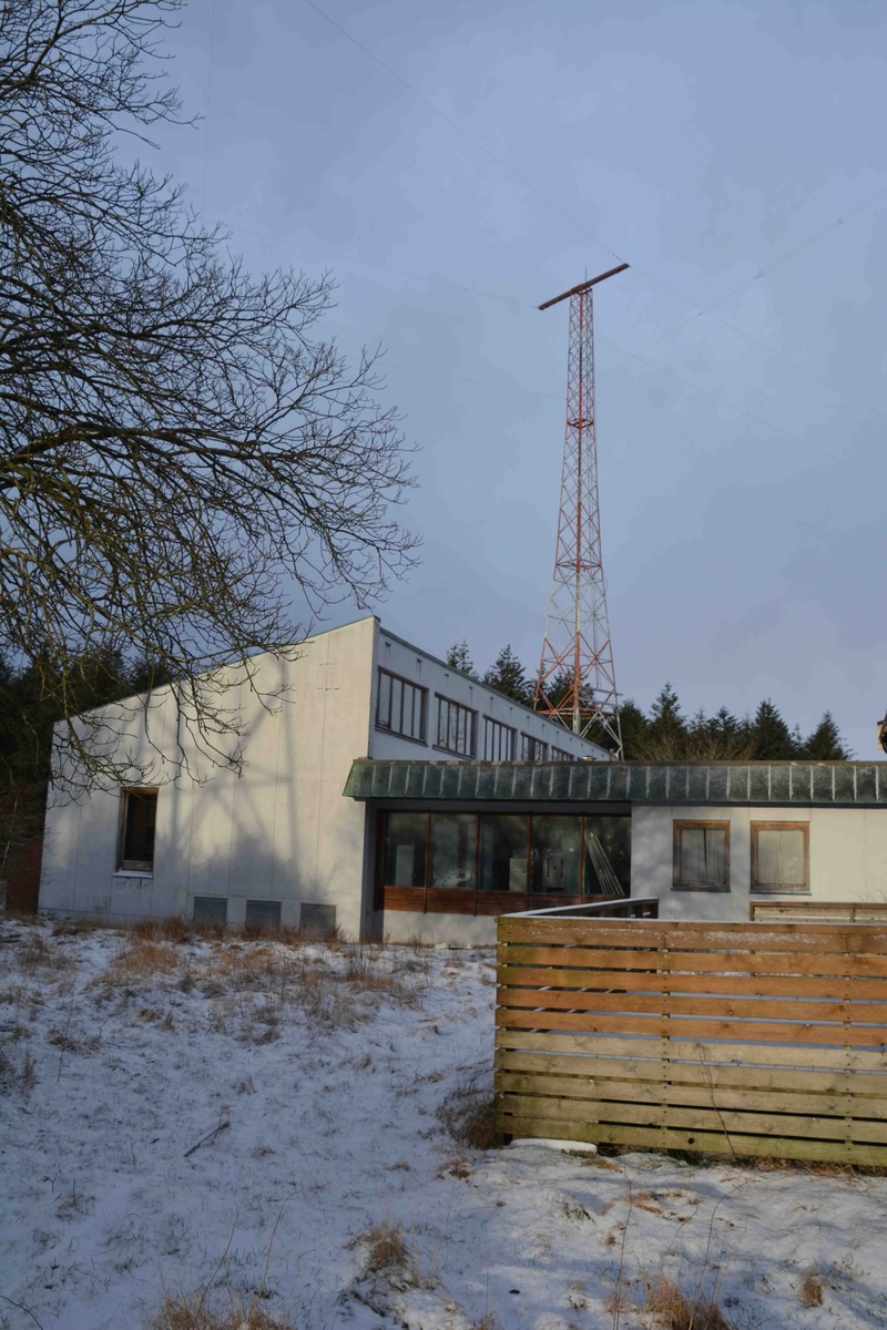 Senderstasjonen i Vigreskogen består av et stasjonsbygg på ca 600 kvm hvor sendersalen er det dominerende element som strekker seg i hele husets lengde. Midt på denne er en halvsirkelformet rotunde for antenneutføringene med en antenneveksler i midten. 
På motsatt side finnes kontrollrom, verksted, krysskopling og transmisjonsutstyrsrom og garderober. En rommelig foaje har inngang til sendersal og garderober på den ene siden og kontorer og hvilerom med tekjøkken og bad for eventuelt opphold mellom vaktene.
I kjelleren under sendersalen er det mekanisk verksted, kraftinntak fra høyspentnettet, ventilasjonsrom, diverse lagerrom og et rom i hele husets lengde som mastemontørene brukte til montering av antennedeler.
Over tunet er et garasje- og lagerbygg på 250 kvm som også huser et kraftig reservestrømsaggregat. 
Ved etableringen ble det bygget et bolighus hvor kombinert vaktmester/mastearbeider skulle bo, men det ble bare brukt noen få år til formålet på grunn av umulige radio og tv-forhold for de som skulle bo der. 
Ved topp aktivitet i første halvdel av 1980-årene var et 30 talls sendere i drift med døgnkontinuerlig vakt,  og 10-12 personer med mønstringssted på stasjonen.
I 2016 er det kun senderne for mellombølgetjenestene ved Rogaland radio og sender for Navtex som er i drift i huset og ingen har sin faste arbeidsplass der.